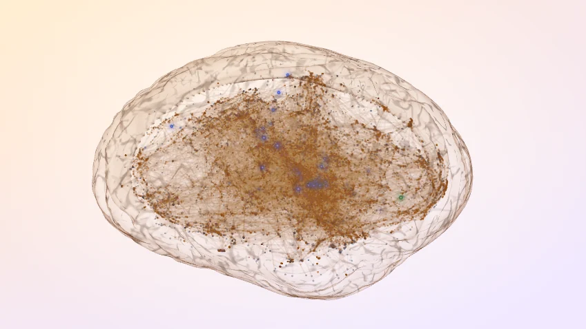 The Community Ledger as a live 3D map: every entry a point inside a translucent brain, lit by what members read and add